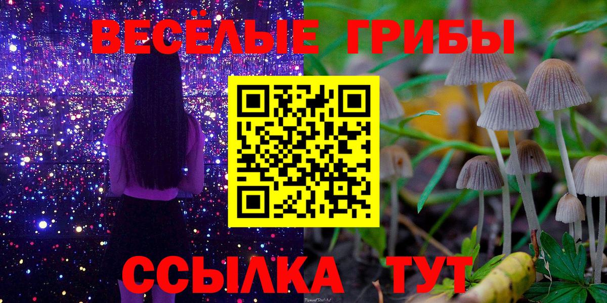 Галлюциногенные грибы мухоморы  Вход с VPN  купить наркоту  Галлюциногенные грибы прущие грибы  Туймазы 